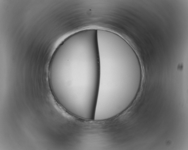 X0000111120862200906301040