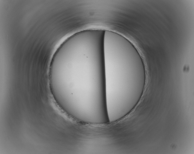 X0000111120864200906301040