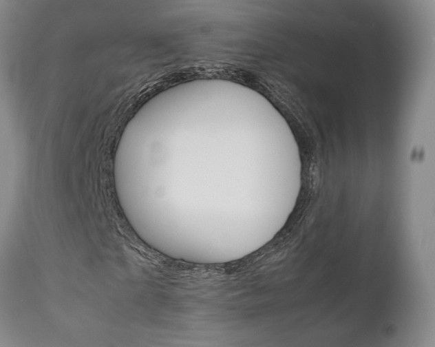X0000111120865200906301039