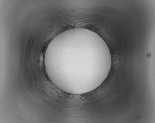 X0000111120866200906301039