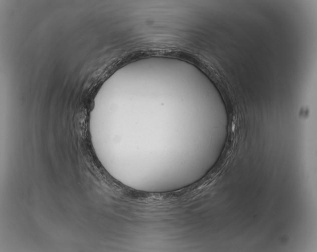 X0000111120867200906301039