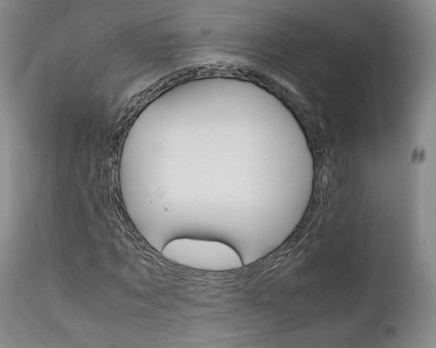 X0000111120869200906301039