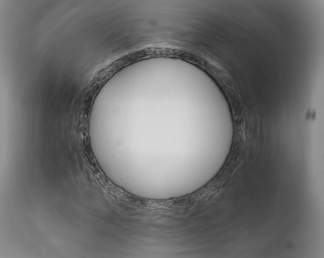 X0000111120870200906301039