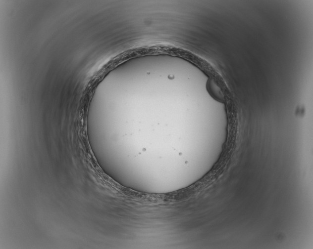 X0000111120871200906301039