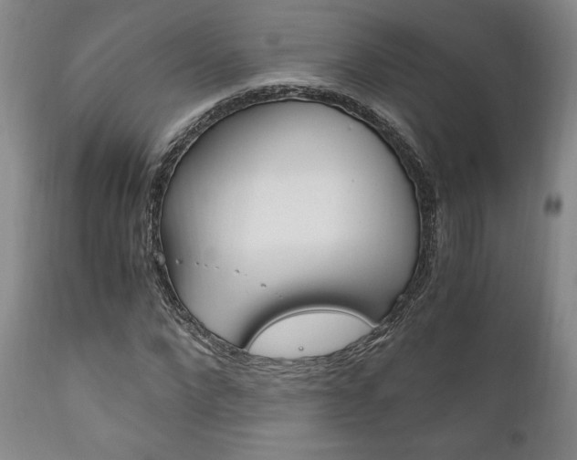 X0000111120872200906301039