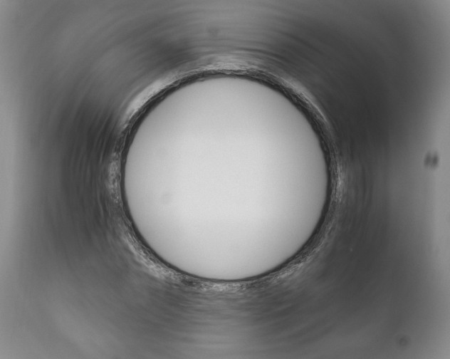 X0000111120874200906301039
