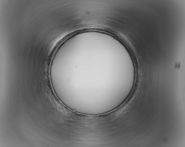X0000111120875200906301039