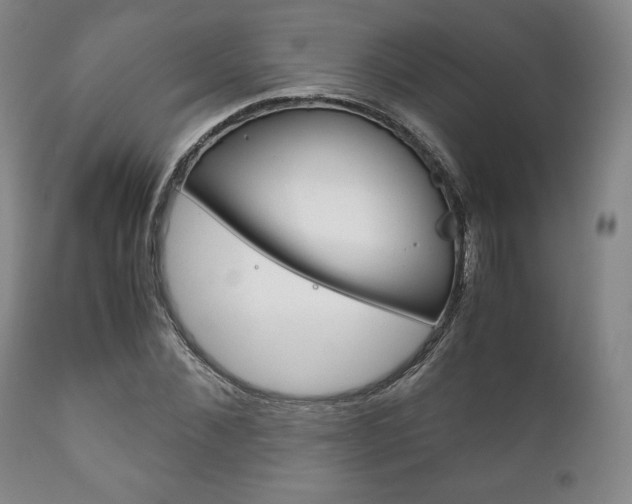X0000111120876200906301039