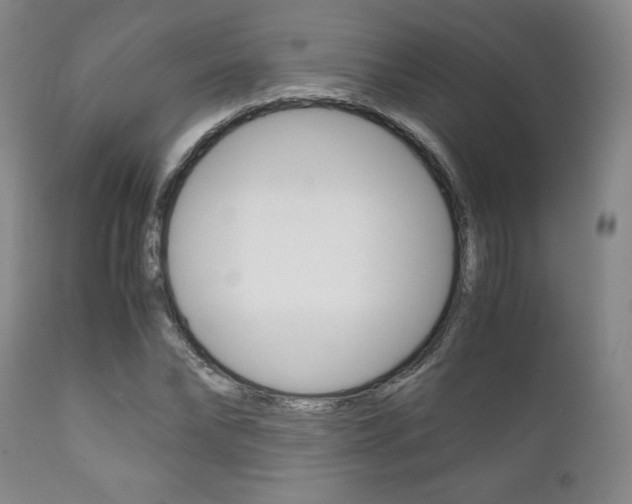 X0000111120878200906301039