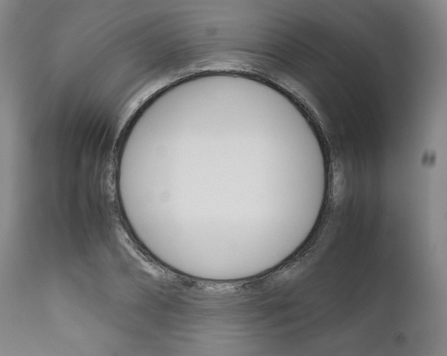 X0000111120882200906301039