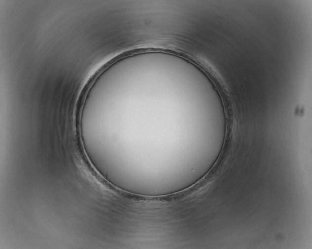 X0000111120884200906301039