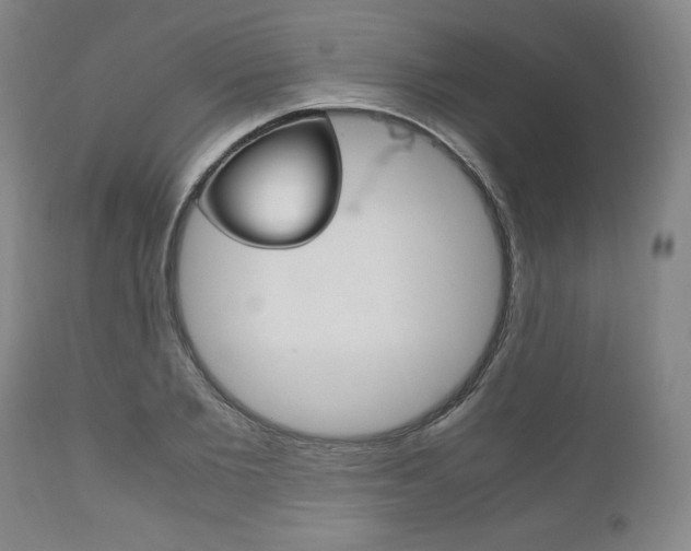 X0000111120885200906301039