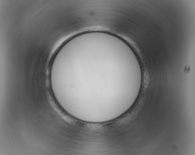 X0000111120886200906301039