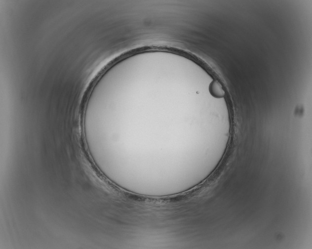 X0000111120887200906301039