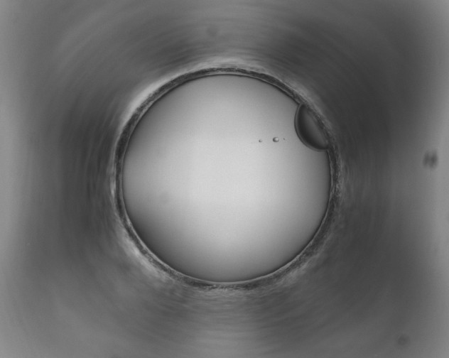 X0000111120888200906301039