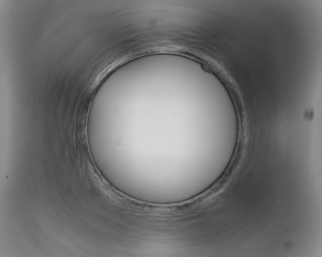 X0000111120889200906301039