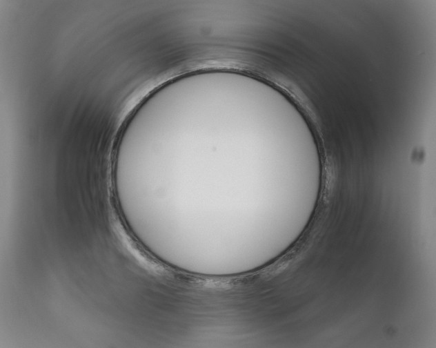 X0000111120890200906301039