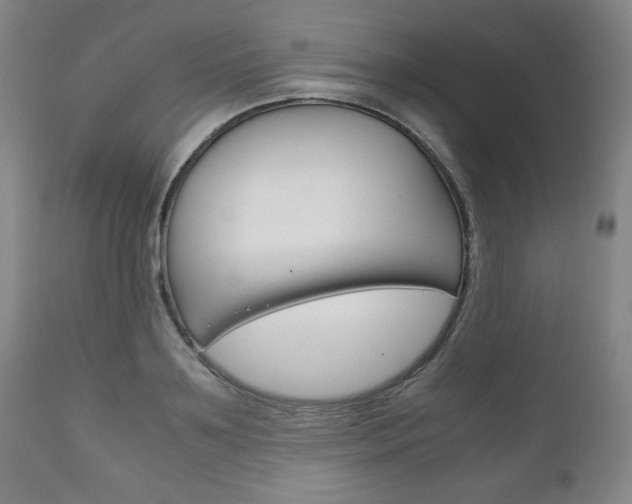 X0000111120891200906301039