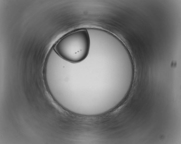 X0000111120893200906301039