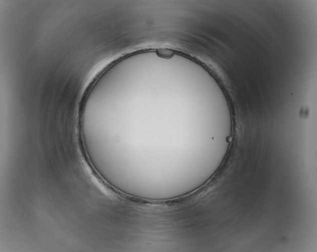 X0000111120894200906301039