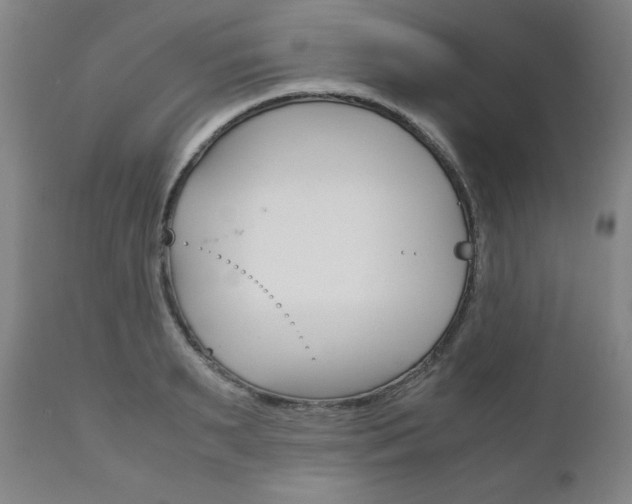 X0000111120895200906301039