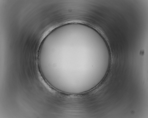 X0000111120898200906301039