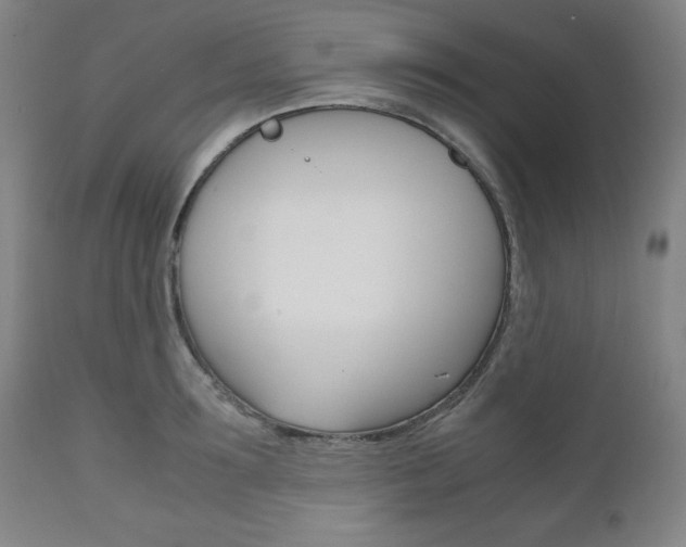 X0000111120899200906301039