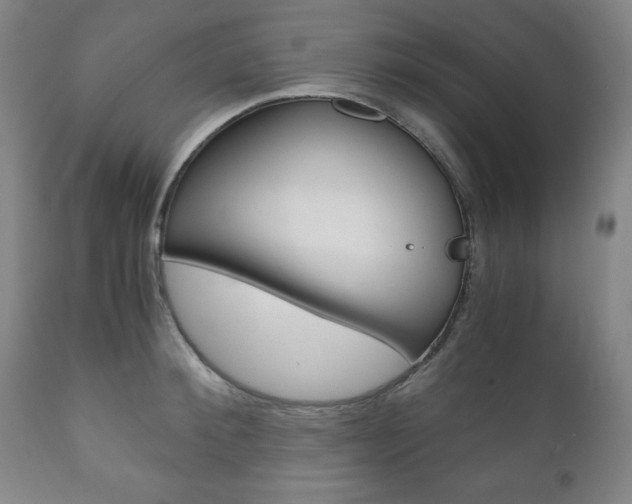 X0000111120900200906301039