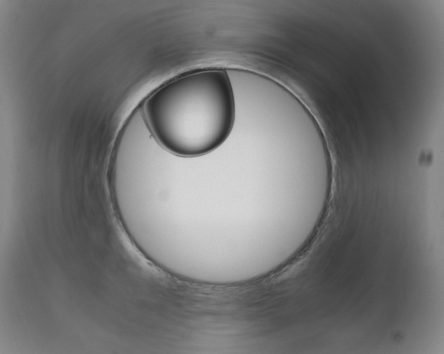 X0000111120901200906301039