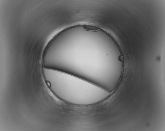 X0000111120902200906301038