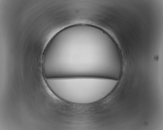 X0000111120903200906301038