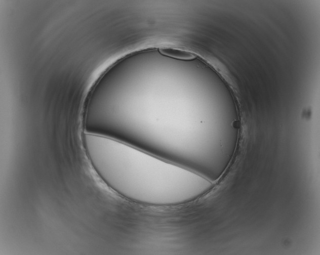 X0000111120904200906301038