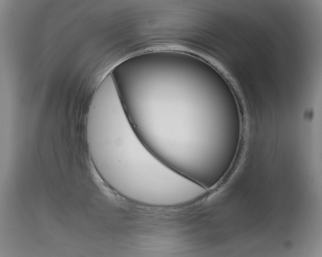 X0000111120905200906301038