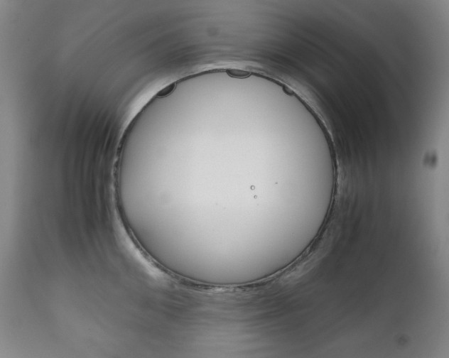 X0000111120906200906301038