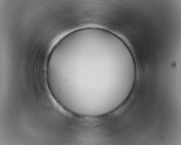 X0000111120910200906301038