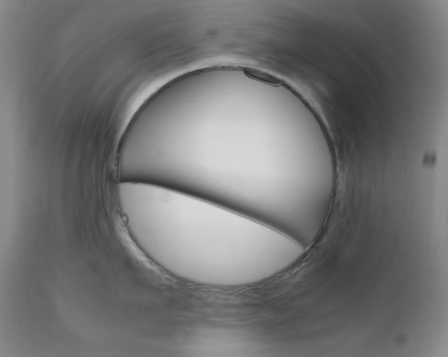 X0000111120911200906301038