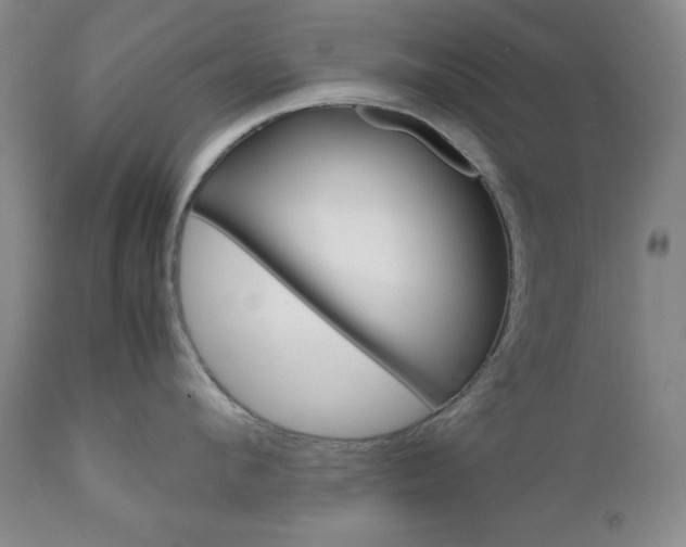 X0000111120912200906301038