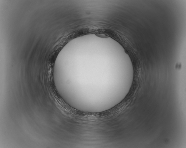 X0000111120914200906301038