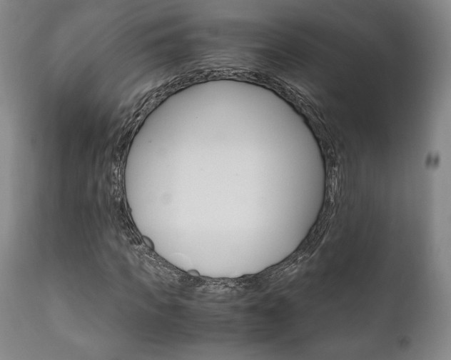 X0000111120917200906301038