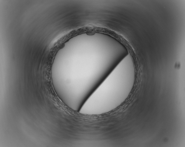 X0000111120919200906301038