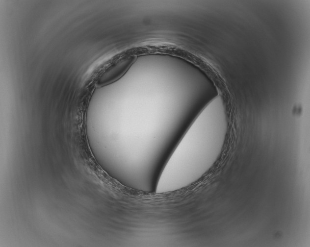 X0000111120920200906301038
