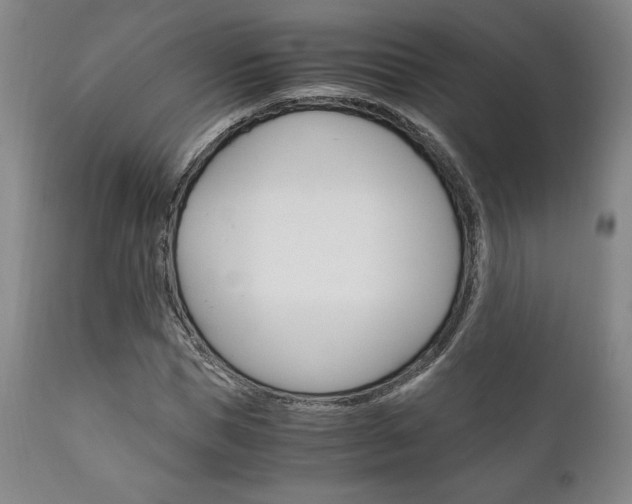 X0000111120921200906301038