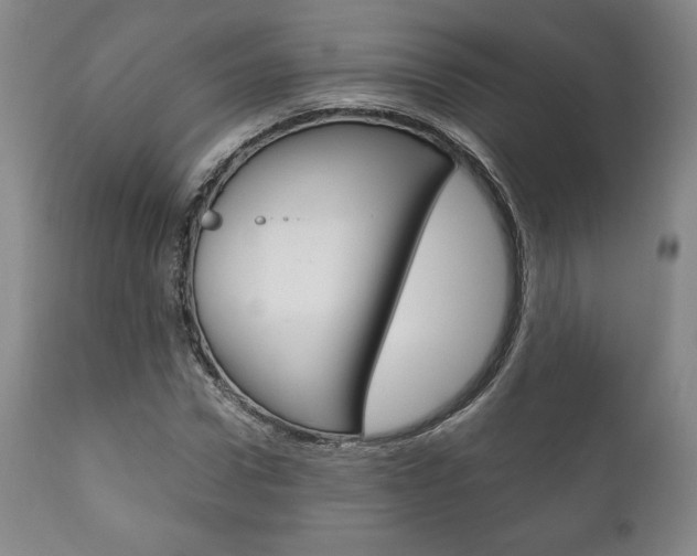 X0000111120922200906301038