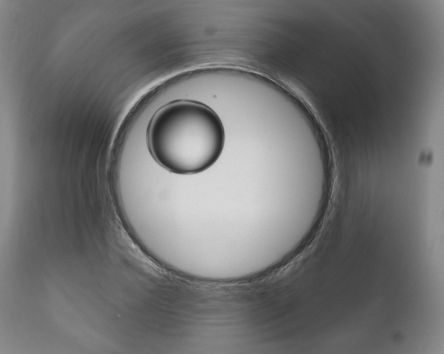 X0000111120924200906301038