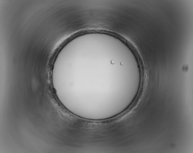 X0000111120925200906301038