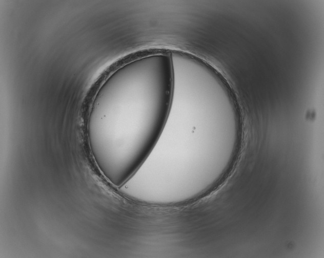 X0000111120926200906301038