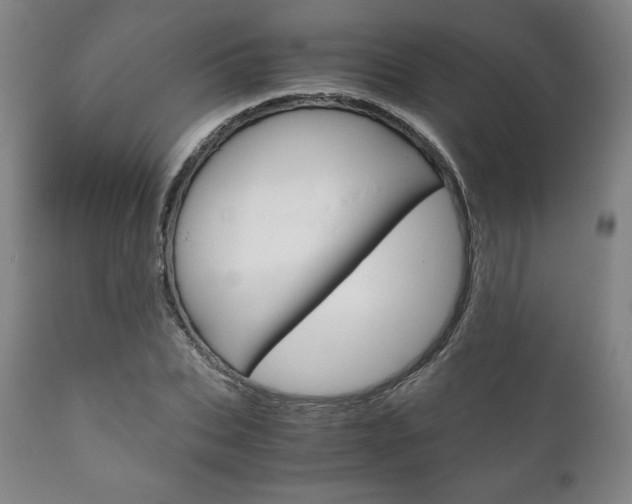 X0000111120927200906301038