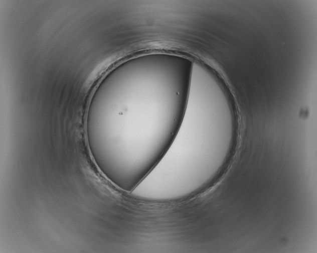 X0000111120930200906301038
