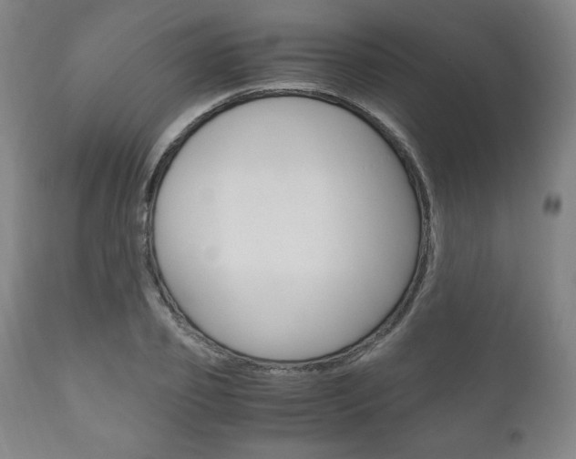 X0000111120933200906301038