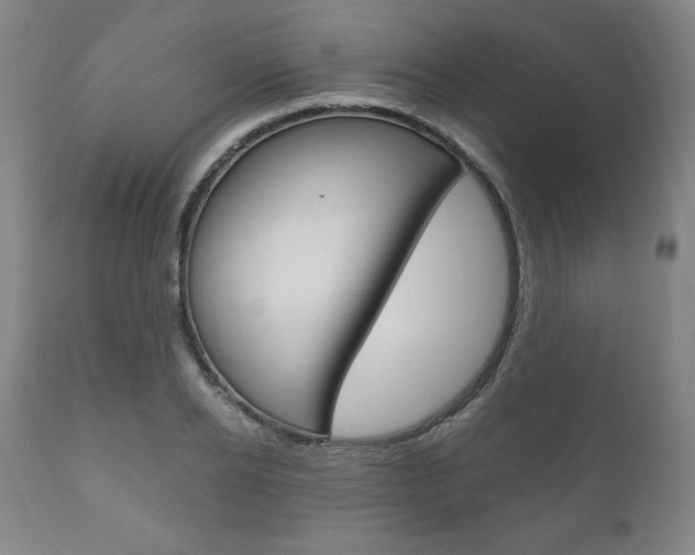 X0000111120934200906301038